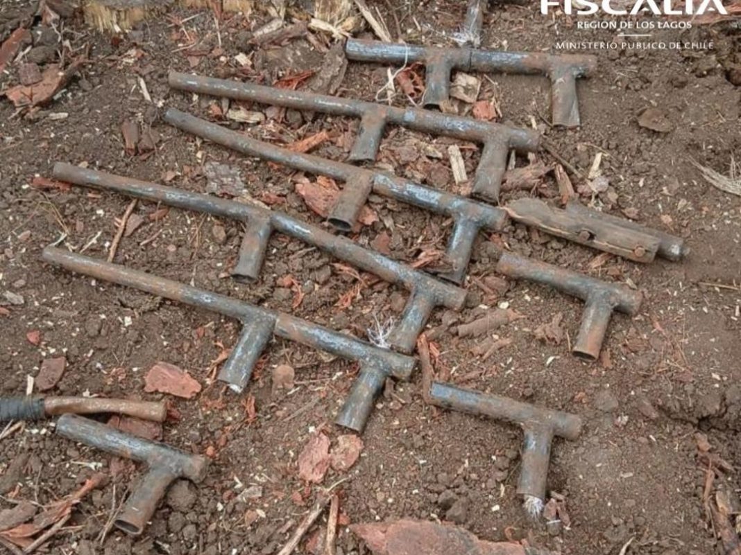 WhatsApp Image 2025-03-19 at 17.27.37