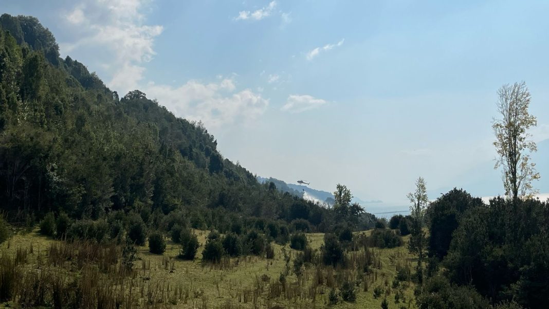 WhatsApp Image 2025-03-26 at 2.55.38 PM