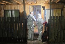 En prisión preventiva queda mujer que habría asesinado a su nuera en Osorno