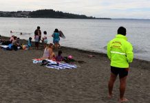 Casas sin alcantarillado y filtración de fosas sépticas elevan presencia de coliformes fecales en el Lago Llanquihue