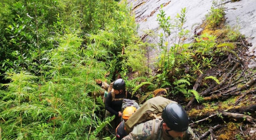 e2392692d9ce4439b19e7c4033a72df81b6ae190