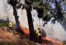 Incendios forestales: Declaran alerta roja en Padre Las Casas y Mulchén