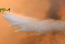 Incendio forestal en Traiguén supera las mil hectáreas afectadas y obliga evacuación de 2 mil personas