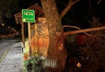 Una persona murió tras chocar con un paradero a bordo de su motocicleta en Puerto Montt