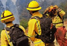 Incendio forestal en Paillaco se encuentra controlado y cancelan Alerta Roja comunal