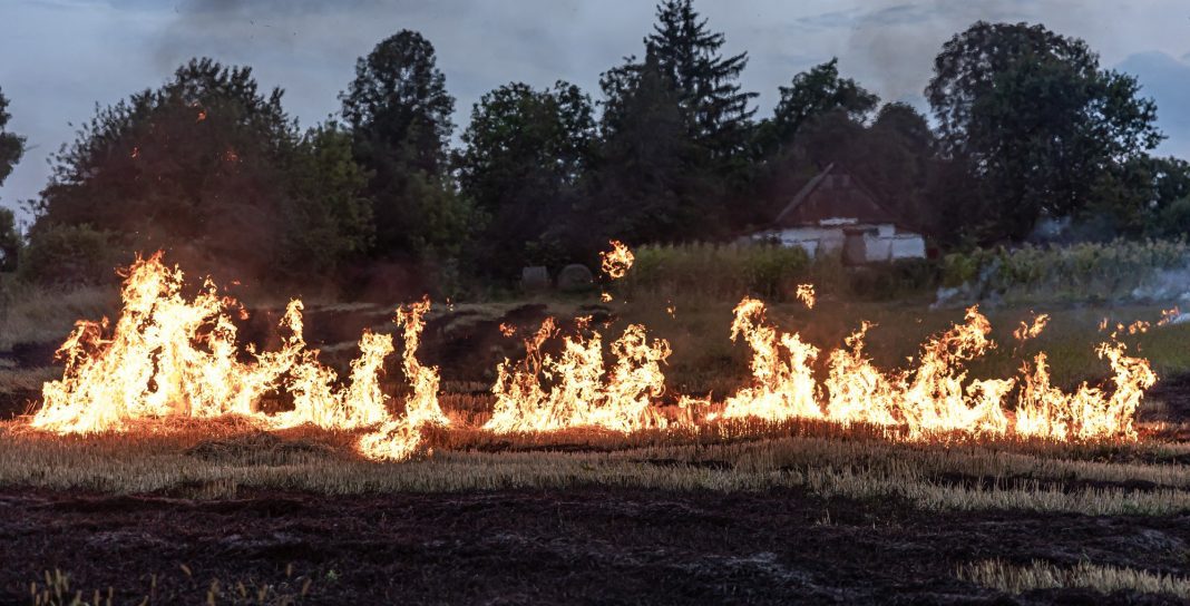 hot-summer-day-dry-grass-is-burning-field-burning-field-with-dry-grass