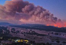 Incendios forestales en el Biobío: Fiscalía indagará presunta intencionalidad
