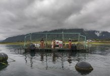 Advierten que reglamento del SBAP pone en riesgo empleos del rubro acuícola en la región de Los Lagos