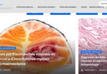 Blog chileno de referencia mundial sobre patología acuícola cumple 17 años