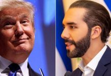 Trump y Bukele se reunirán este lunes para reforzar colaboración migratoria