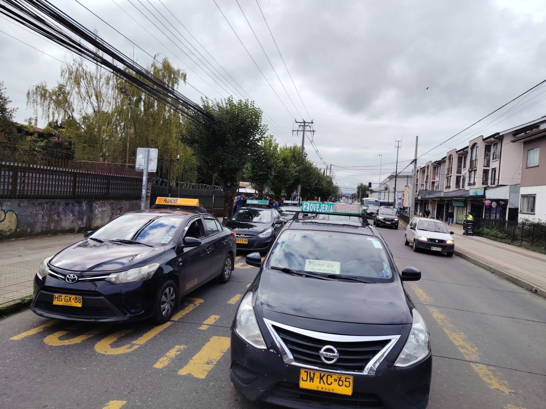 491917531_1187721469875493_7558414049334370864_n