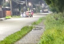 Conductor ebrio intentó atropellar a carabineros para evitar un control en Alerce en Puerto Montt