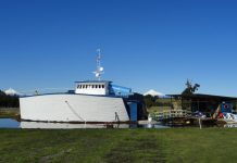 Denuncian ataque de perros que afectó a animales del Parque Acuario Lago Puyehue