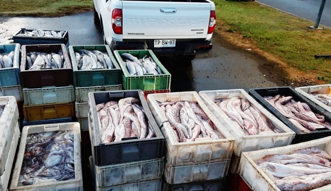 Captura de pantalla 2025-04-11 133624