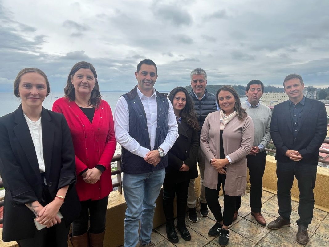 Foro Participantes CRE ProChileLosLagos