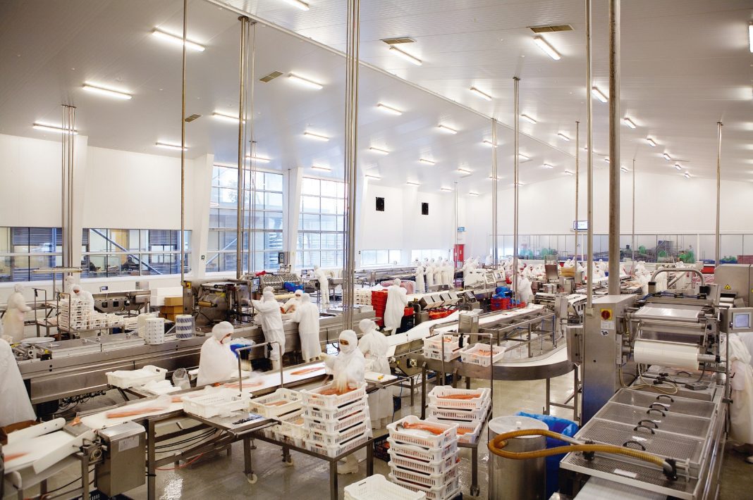 ProChile Salmon, jexportaciones (1)