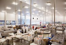 ProChile: Exportaciones en la Región de Los Lagos alcanzaron los US$1.980 millones en el primer trimestre