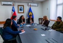 Inician implementación del Ministerio de Seguridad Pública en Los Lagos