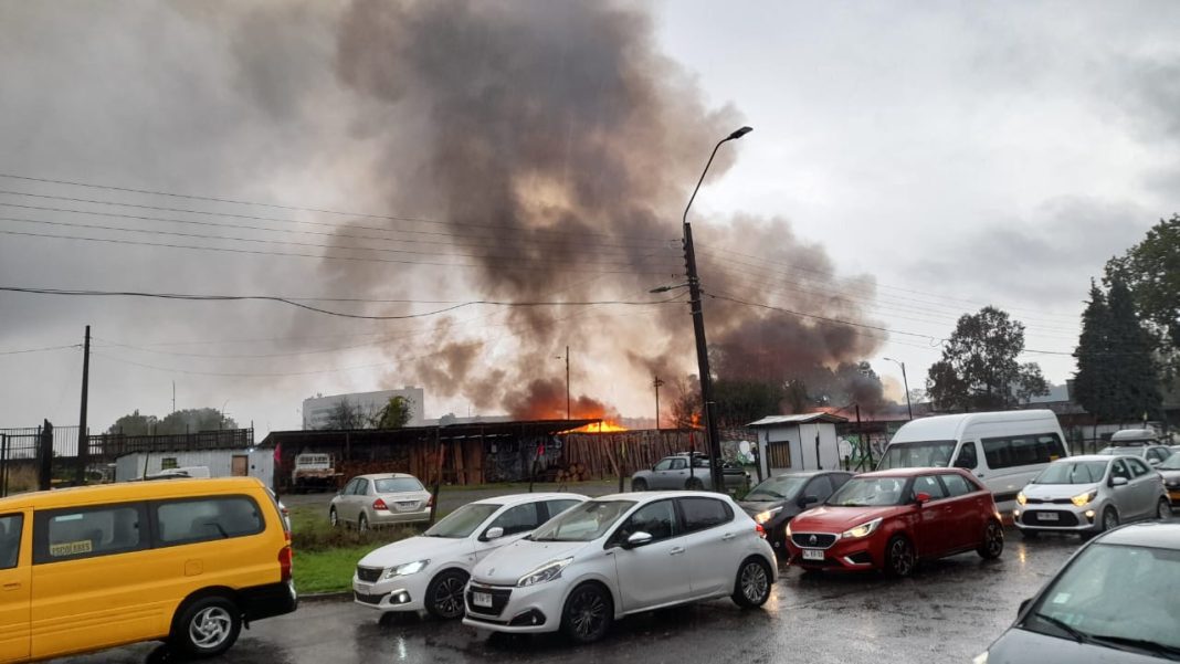 WhatsApp Image 2025-04-14 at 11.38.46