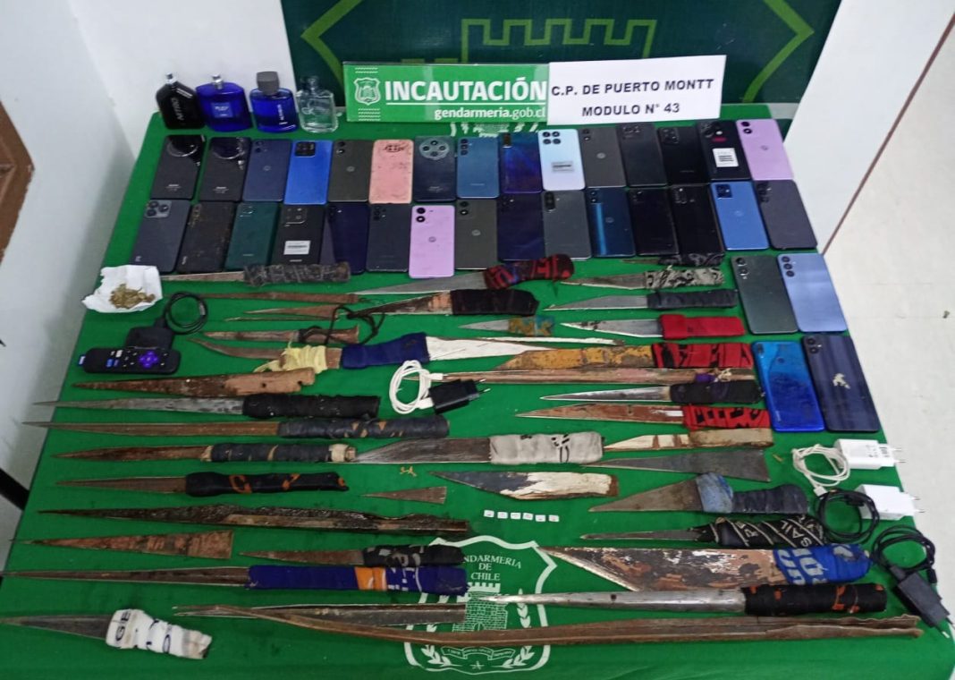 WhatsApp Image 2025-04-26 at 12.17.49 PM