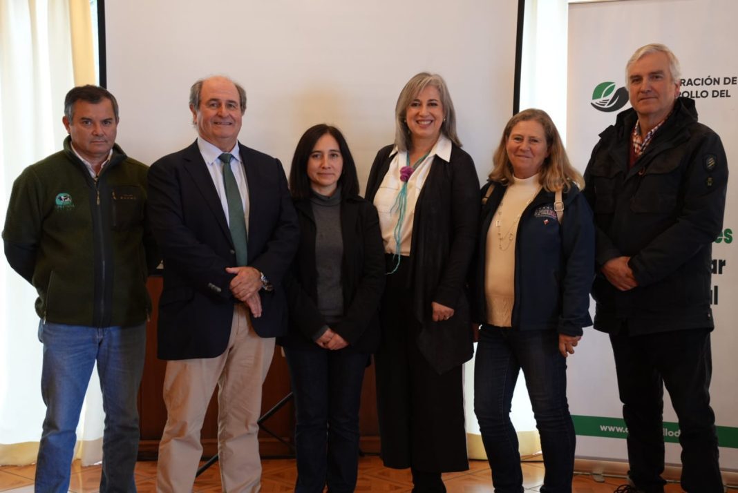 WhatsApp Image 2025-04-28 at 13.05.29