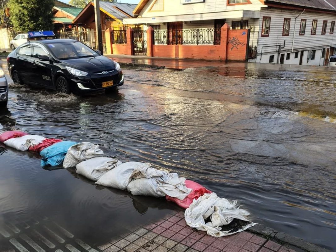 WhatsApp Image 2025-04-29 at 17.12.43