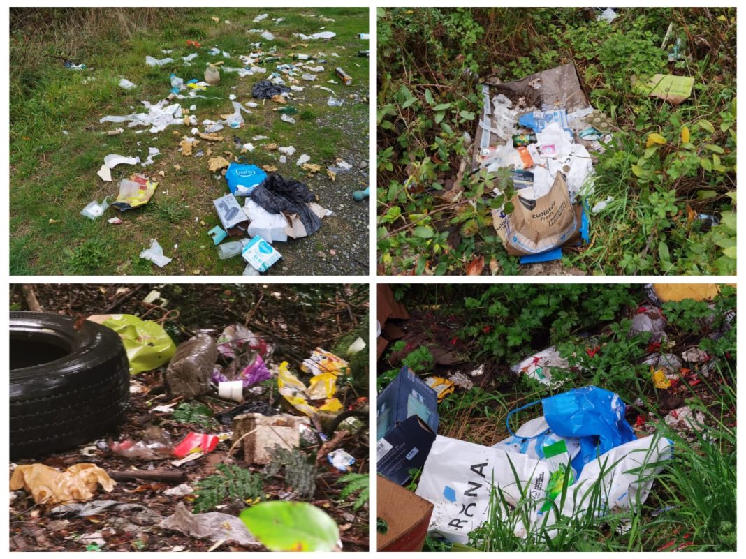 WhatsApp Image 2025-04-30 at 12.54.55