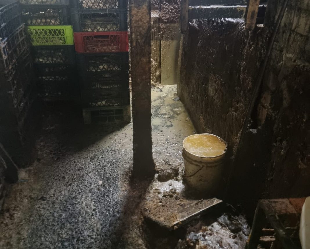 WhatsApp Image 2025-04-30 at 16.46.47