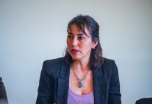 Matthei criticó designaciones de seremis de Seguridad: desde Los Lagos respondieron que nombramientos tienen un estándar distinto