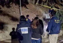 Crimen en Concepción: Adolescente de 16 años muere tras ser apuñalado al interior de un parque