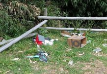 Denuncian poco cuidado de turistas en el Parque Nacional Puyehue: aumentaron atropellos a fauna nativa y presencia de basura