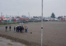Piden “no repetir errores” tras nueva adjudicación de la cancha de Carlos Condell en Osorno