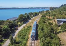 Acción ciudadana permite frustrar robo de luminarias en estación de trenes de Alerce