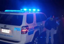 Detienen a presunto agresor tras homicidio en Fresia