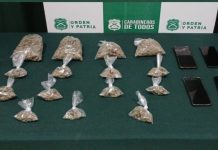 Formalizan a dos mujeres por tráfico de drogas en Puerto Montt