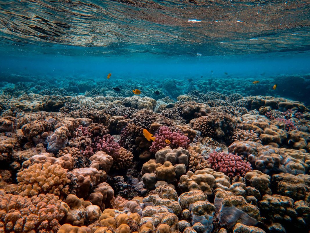 Blue-Week-Los-Lagos-Ketrawa-scaled