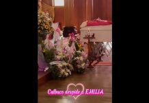 Sigue la presión contra el director del hospital de Calbuco tras muerte de niña de 3 años: Alcalde pide su renuncia