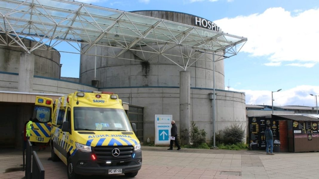 WhatsApp Image 2024-10-22 at 20.28.01