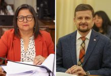 Escándalo por bullying en colegio de Puerto Varas llega al Congreso