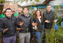 Escuela Deportiva de Ovejería implementa primer bosque Miyawaki con apoyo de Empresas Feria de Osorno