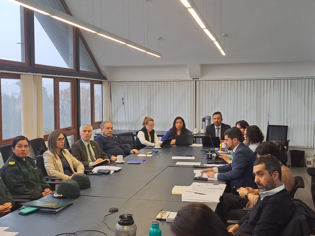 WhatsApp Image 2025-05-13 at 15.14.15