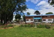 Municipio de Purranque reduce a niveles mínimos la lista de espera para obtener licencias de conducir