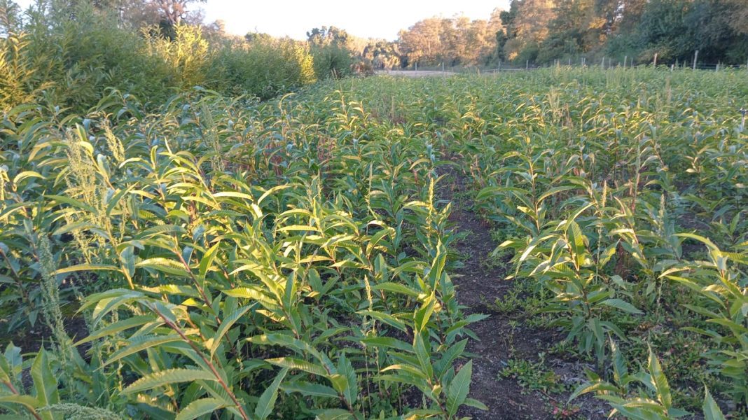 WhatsApp Image 2025-05-20 at 14.33.52