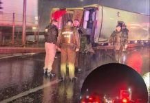 Fatal accidente carretero en San Fernando: bus habría salido desde la región de Los Lagos