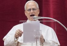 «¡Nunca más la guerra!»: León XIV pide por la paz en Ucrania y Gaza este domingo