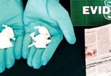 Exigen más policias en Chiloé, tras detención de escolares que vendían cocaína, marihuana y tusi a compañeros