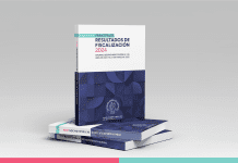 Informe de Contraloría detecta billonarias irregularidades en organismos estatales: se incluye al Gobierno Regional de Los Lagos y municipios