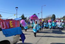 Abren inscripciones a organizaciones civiles para participar de la Puihua Cultural 2025 en Puyehue