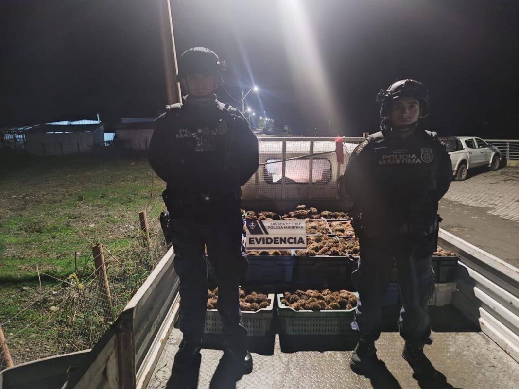 502595264_1506663274075508_1805722518248396119_n