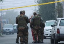 Hombre murió abatido en Padre Las Casas: atacó e hirió con un machete a carabinero